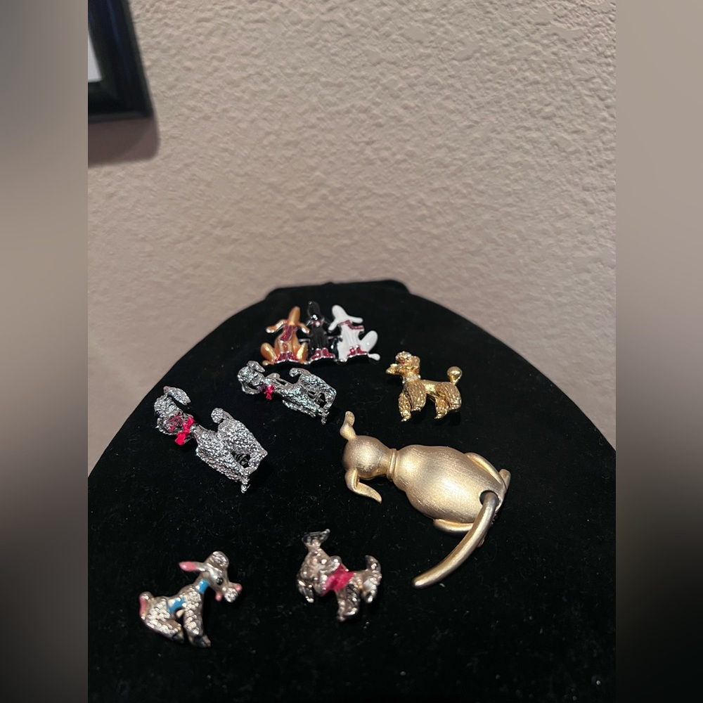 Dogs - Picture 2 of 4